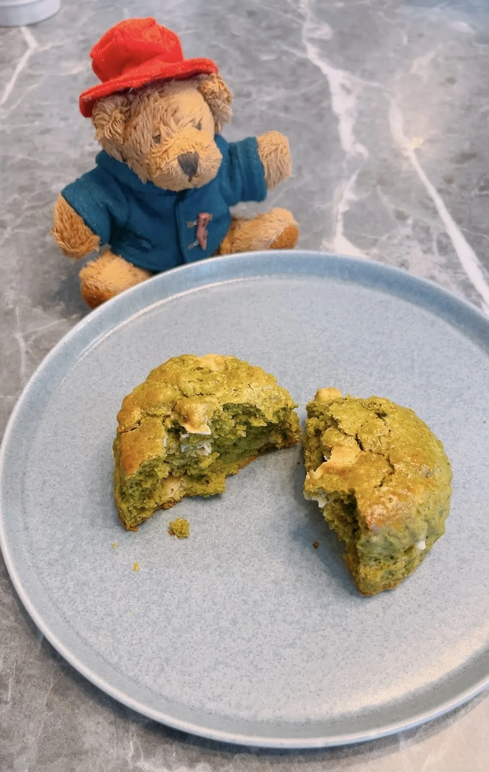 A bear with a freshly broken matcha scone